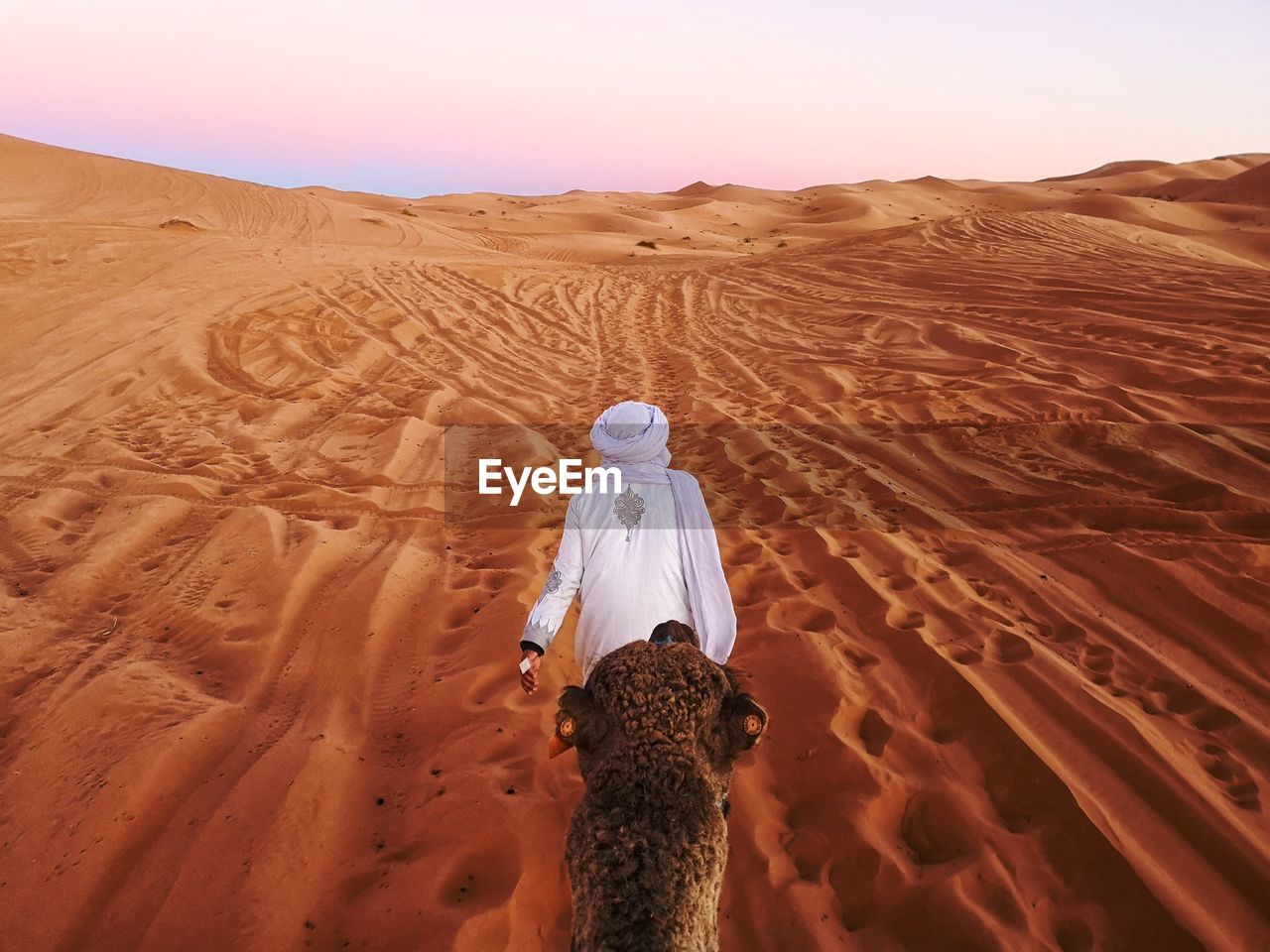 REAR VIEW OF MAN ON SAND DUNE