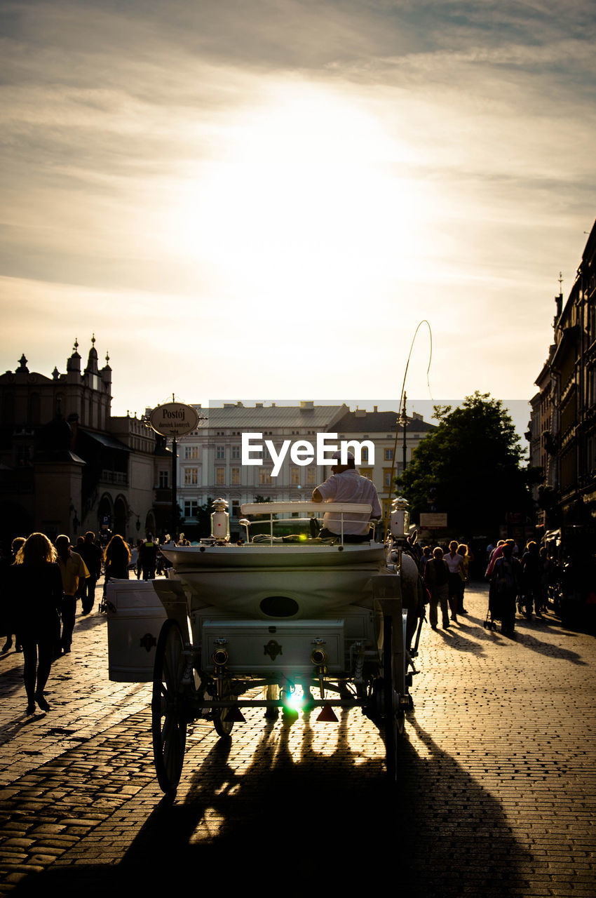 Man riding horse cart on city street at sunset