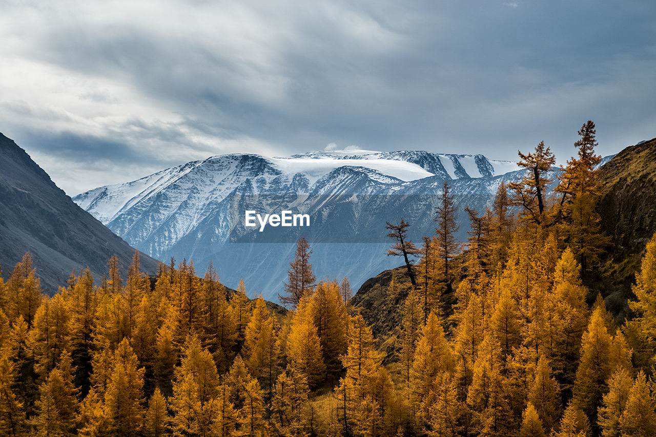 SCENIC VIEW OF SNOWCAPPED MOUNTAINS DURING WINTER