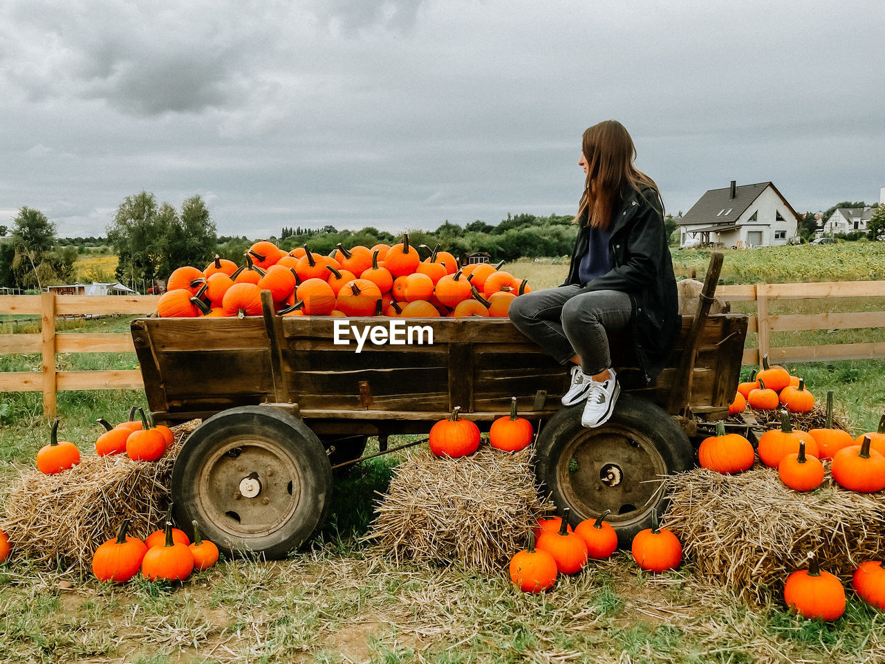 Full frame shot of pumpkins on field