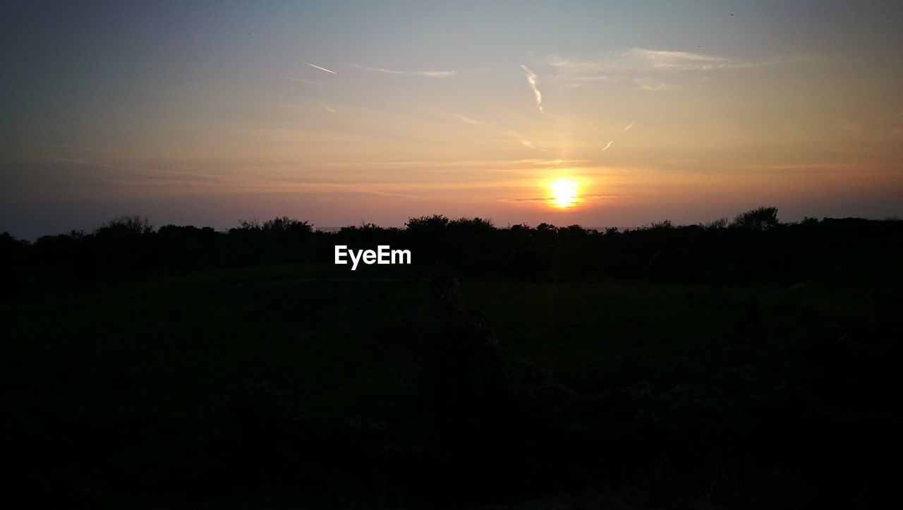 SILHOUETTE TREES ON FIELD AGAINST SKY DURING SUNSET