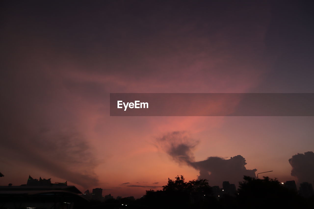 SILHOUETTE OF TREES AGAINST DRAMATIC SKY