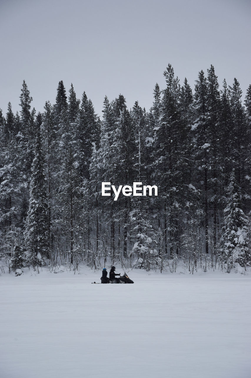 Scenic view of snow covered land and trees in forest