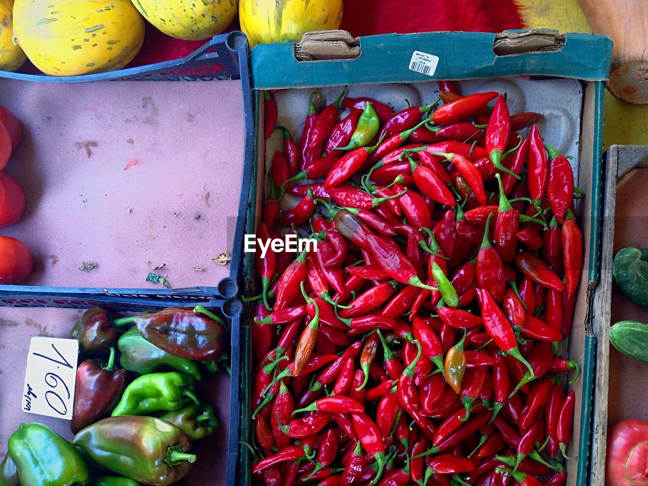 High angle view of chilies in container