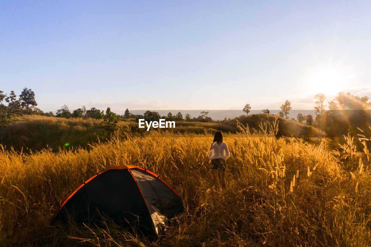 Rear view of woman camping on grassy field against sky during sunset