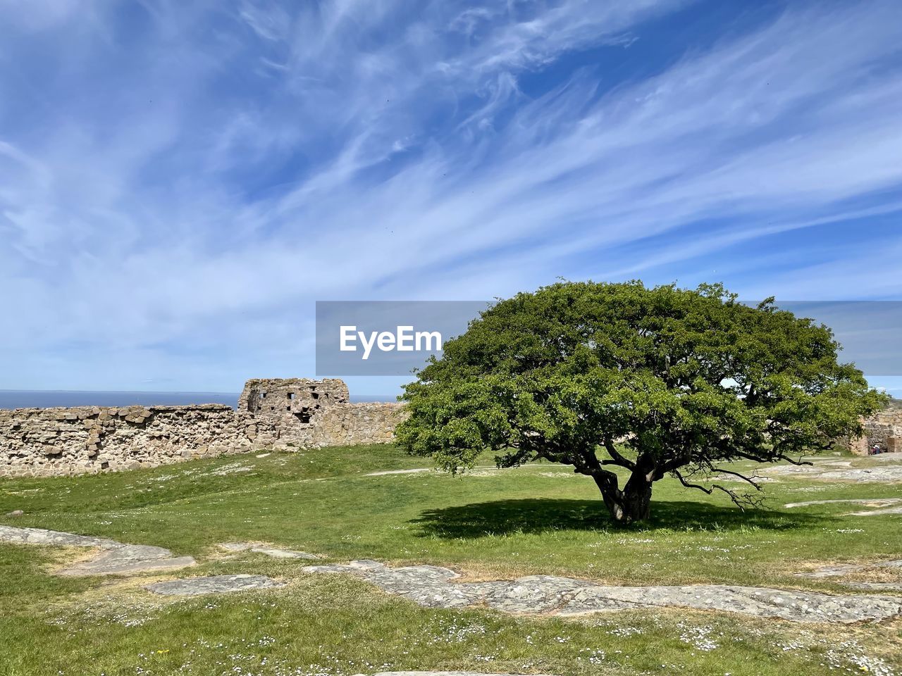 sky, plant, tree, landscape, nature, history, architecture, cloud, grass, land, environment, hill, the past, scenics - nature, ancient, no people, rural area, travel destinations, beauty in nature, old ruin, field, built structure, travel, blue, outdoors, non-urban scene, tranquility, green, building, tourism, tranquil scene, rural scene, horizon, ruins, day, wall, sea, rock, old