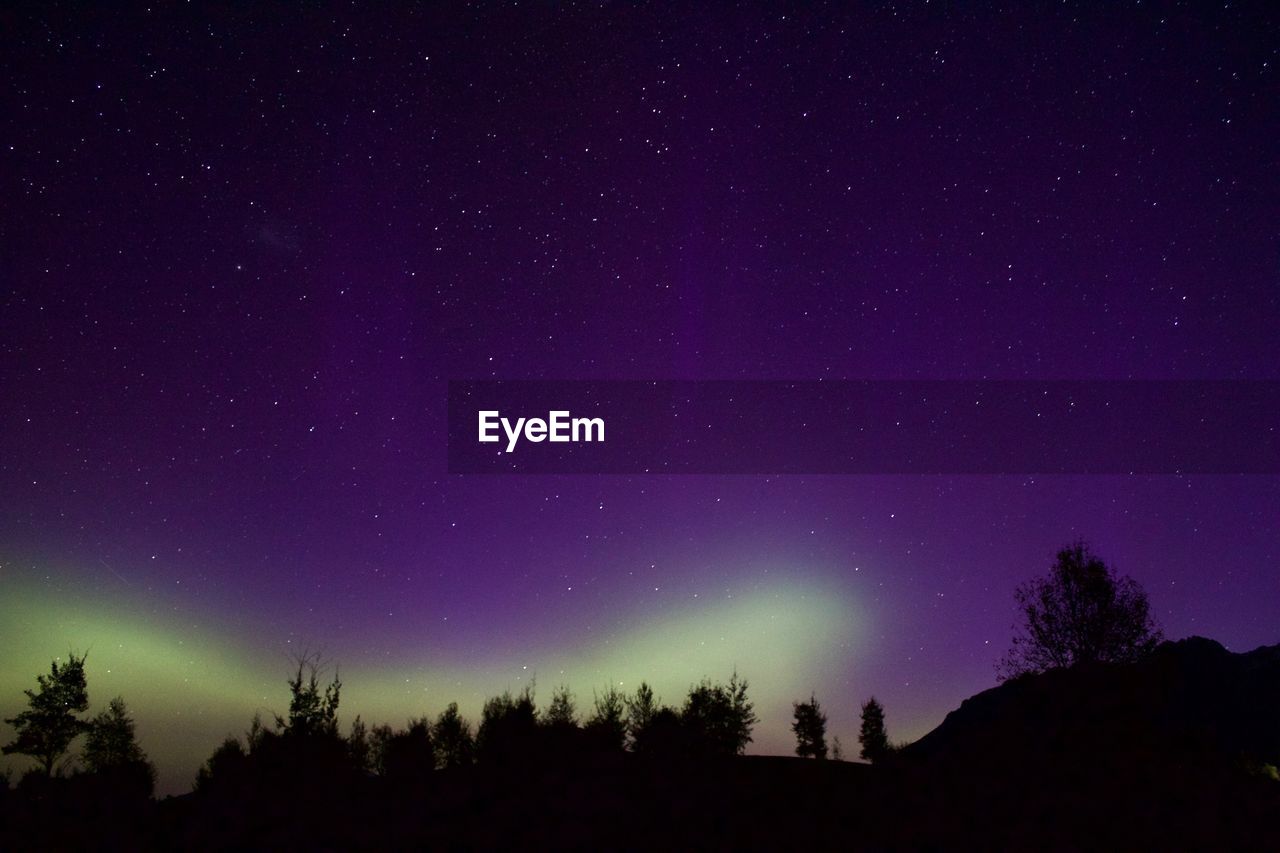 LOW ANGLE VIEW OF SILHOUETTE TREES AGAINST STAR FIELD AGAINST SKY