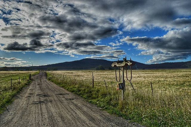 ROAD PASSING THROUGH GRASSY FIELD