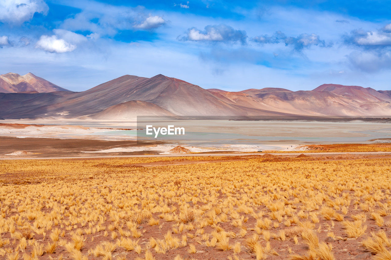 Salar de aguas calientes and lagoon in the altiplano, atacama desert, chile, south america