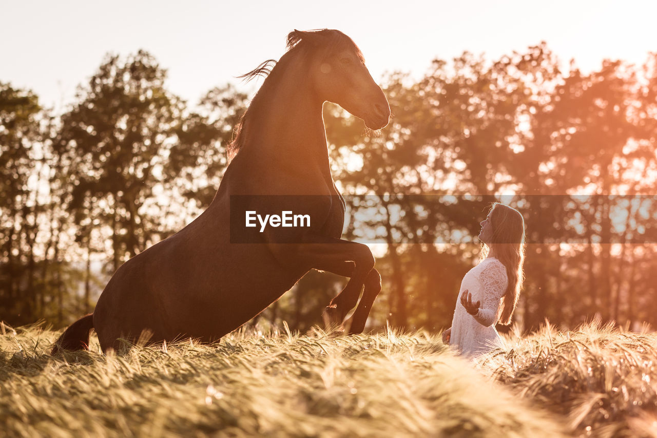 Woman with horse standing on field