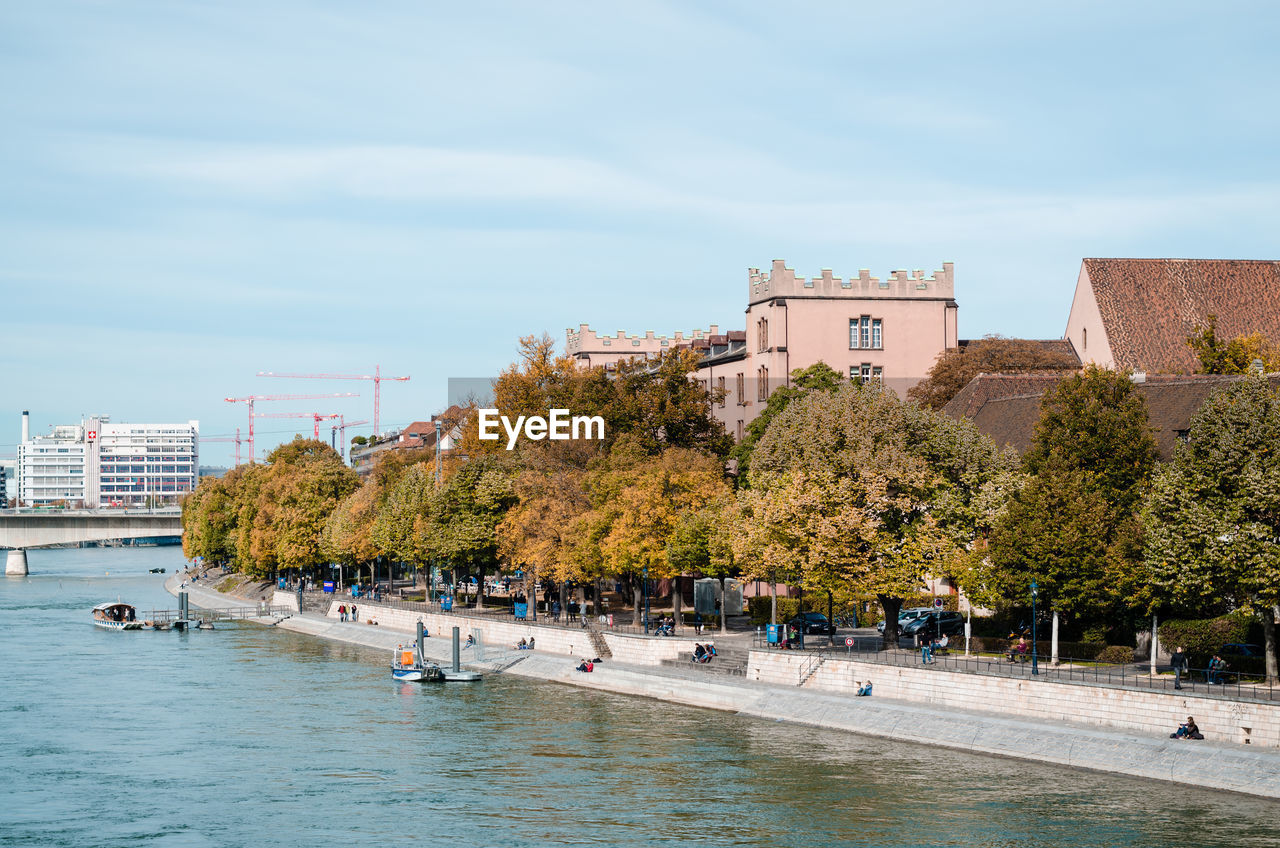 Trees in city at waterfront