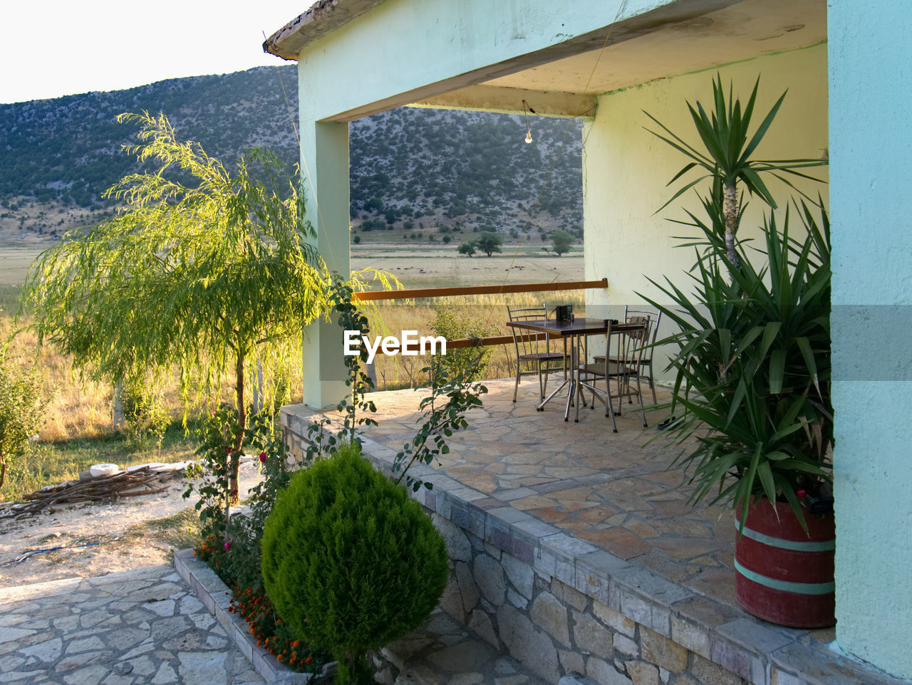 Potted plants by house against mountain