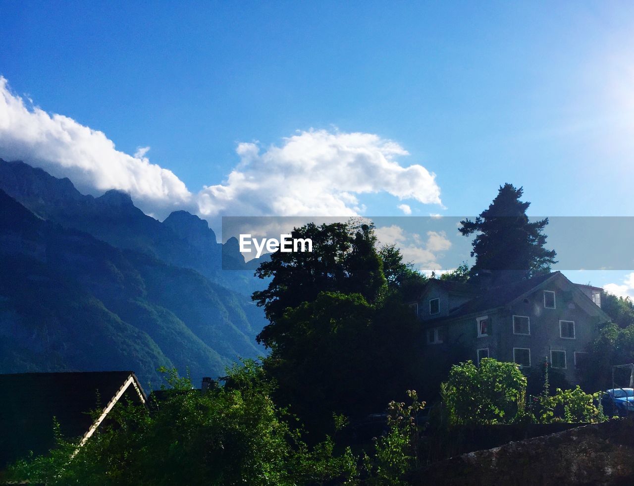 Low angle view of tree by mountains against sky