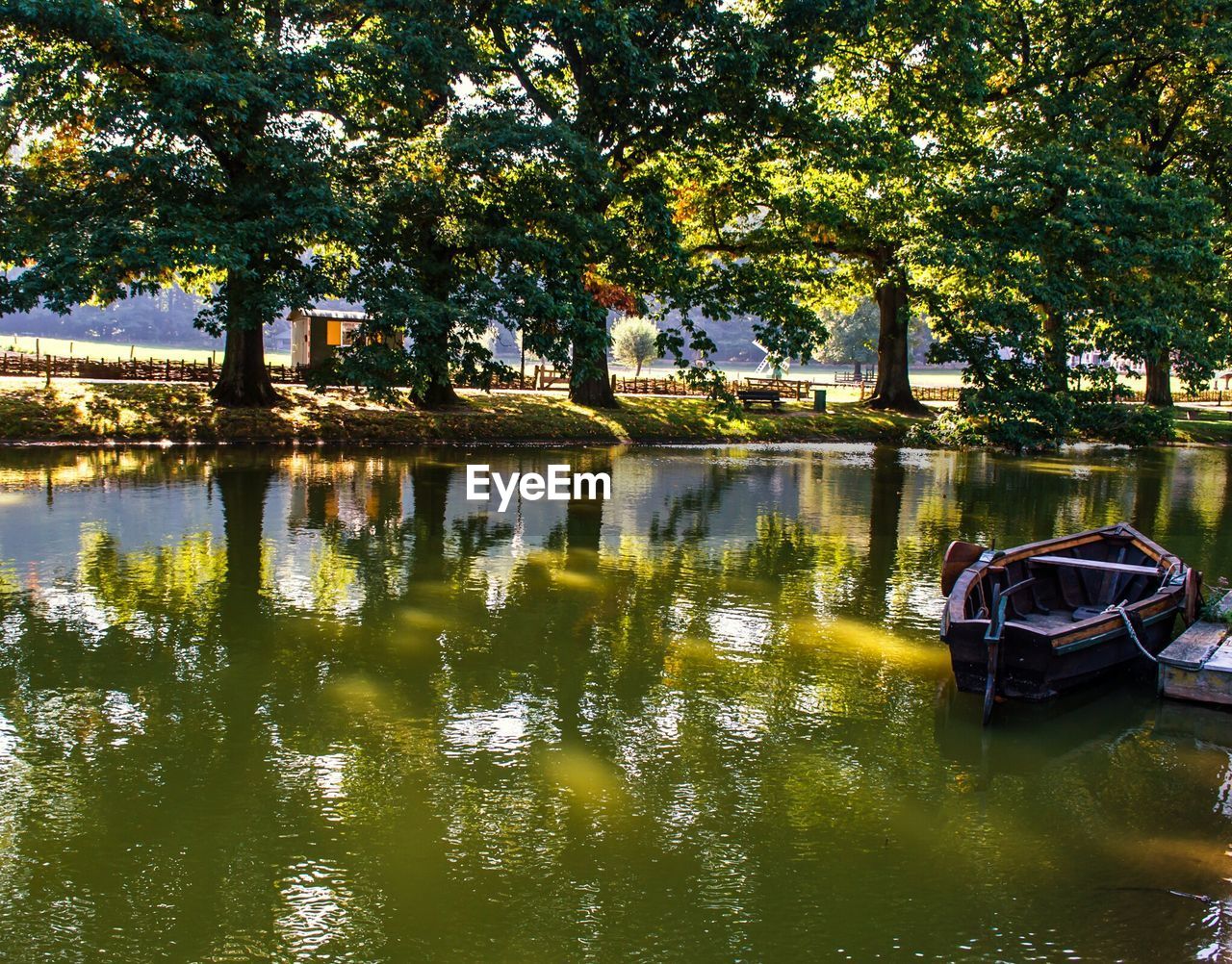 Reflection of trees in canal