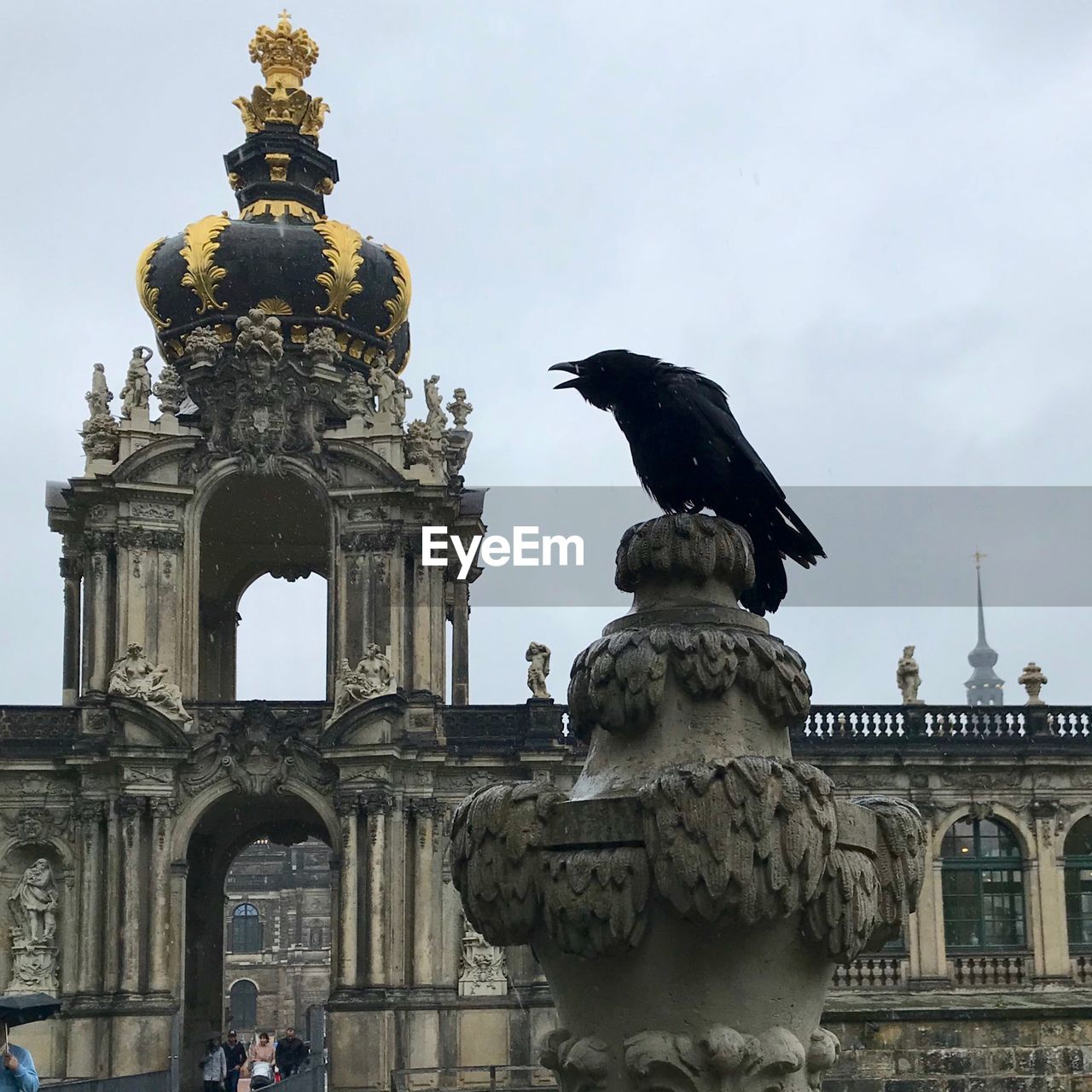 Statue in front of dresden zwinger