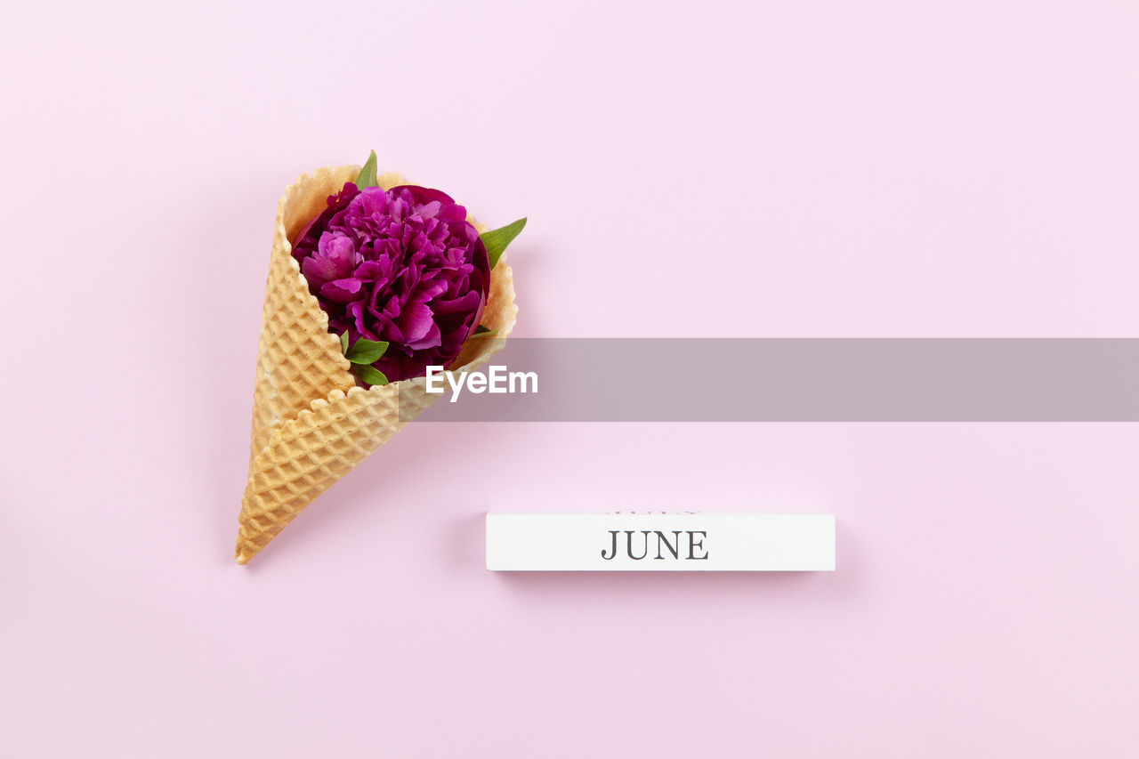 HIGH ANGLE VIEW OF TEXT ON PINK ROSE