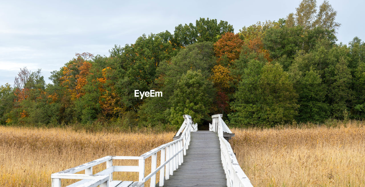 Panoramic view of trees on field against sky