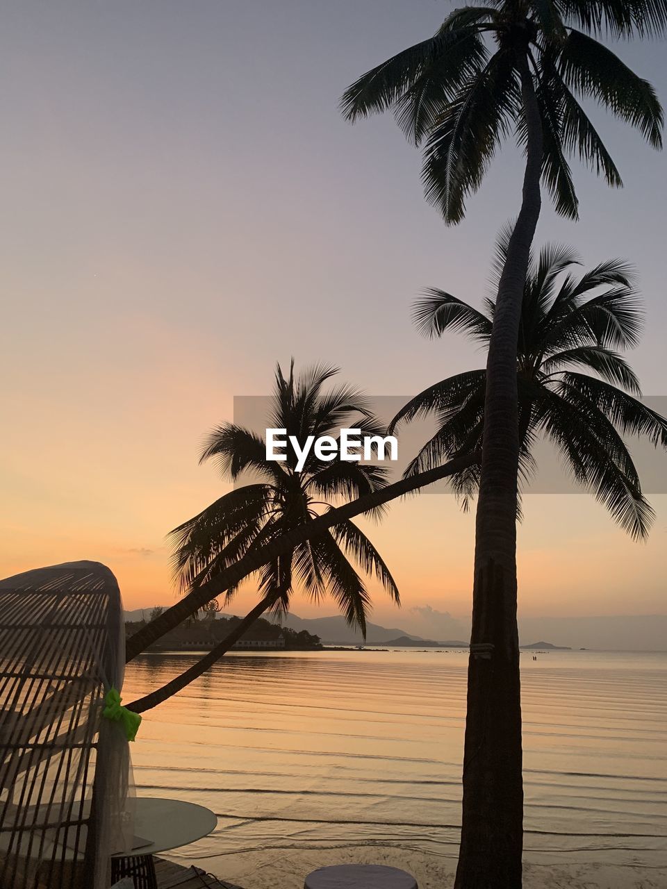 SILHOUETTE PALM TREE BY SWIMMING POOL AGAINST SKY AT SUNSET