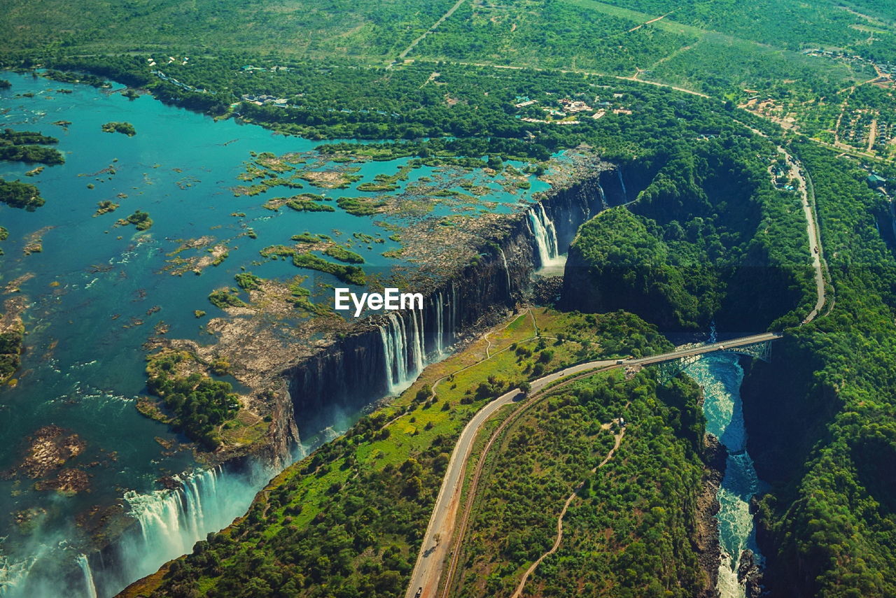 High angle view of river amidst trees