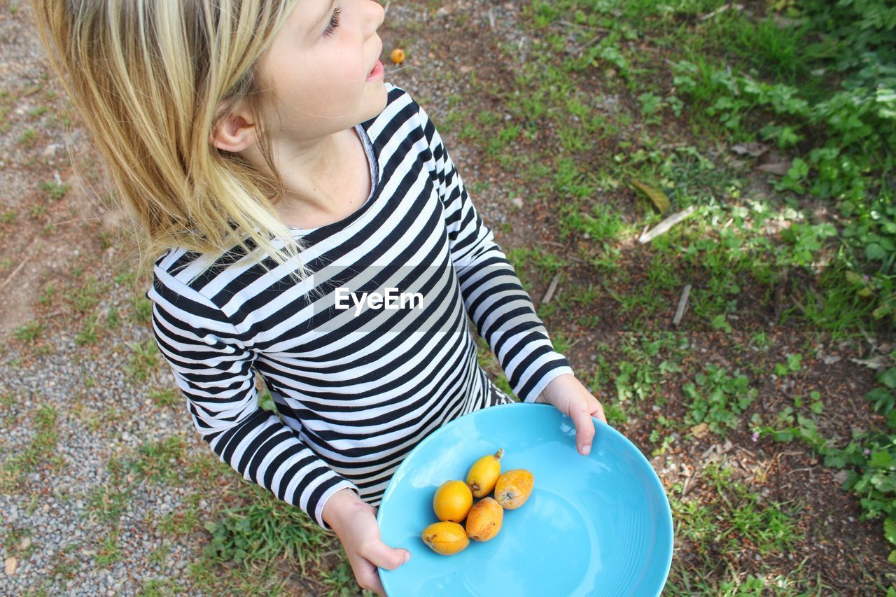 High angle view of girl holding fruits in plate on field