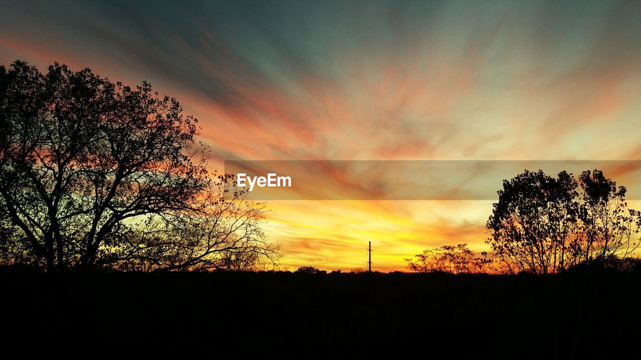 Trees on silhouette landscape at dusk