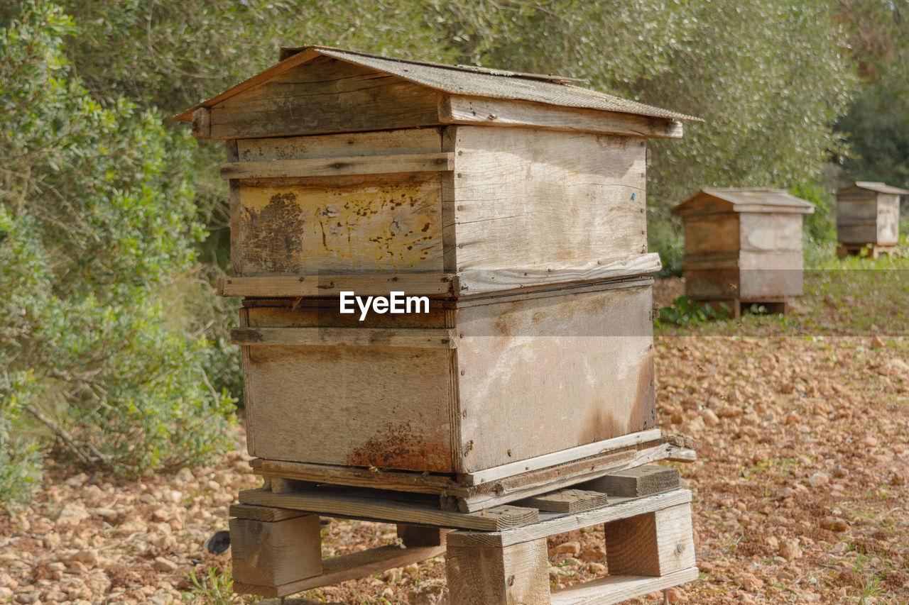 insect, bee, apiculture, animal, beehive, beekeeper, plant, nature, animal themes, land, box, animal wildlife, wood, apiary, wildlife, container, field, beauty in nature, honey, no people, day, tree, honey bee, group of animals, outdoors, landscape, agriculture, grass, large group of animals, growth, rural scene