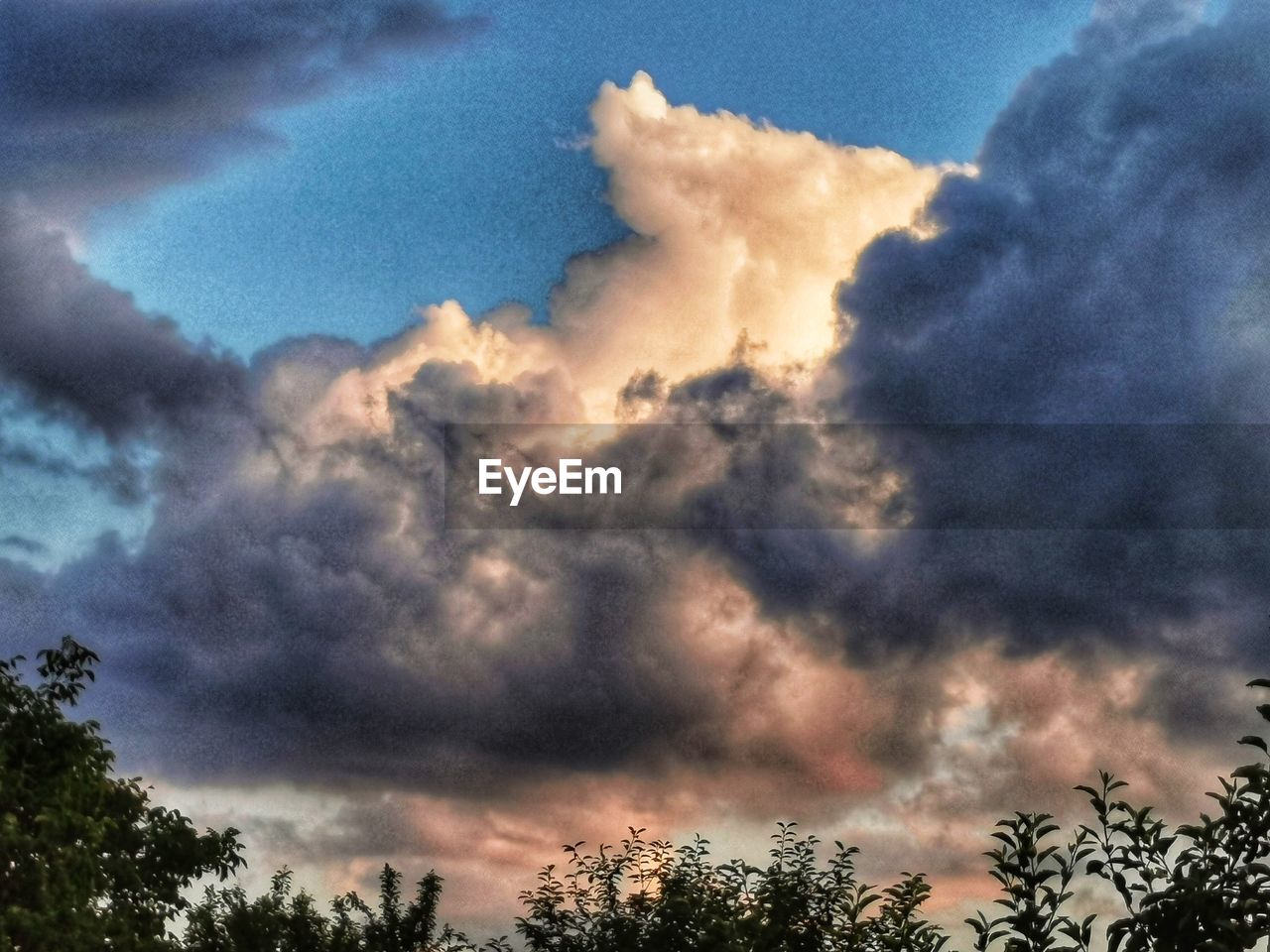 sky, cloud, tree, plant, beauty in nature, nature, no people, dramatic sky, low angle view, scenics - nature, environment, cloudscape, outdoors, tranquility, storm, sunset, storm cloud, silhouette, tranquil scene, growth, idyllic