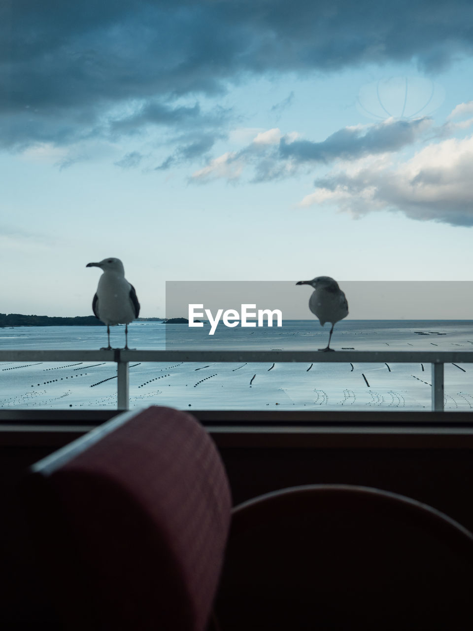 SEAGULLS PERCHING ON A SEA