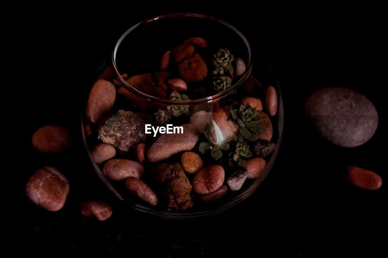 HIGH ANGLE VIEW OF FRUITS IN PLATE