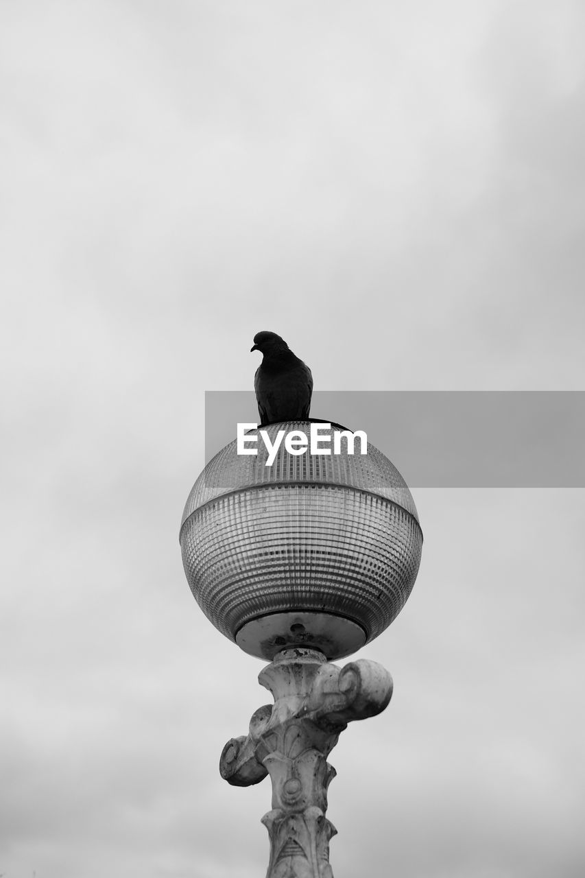 Low angle view of pigeon perching on lamp against sky