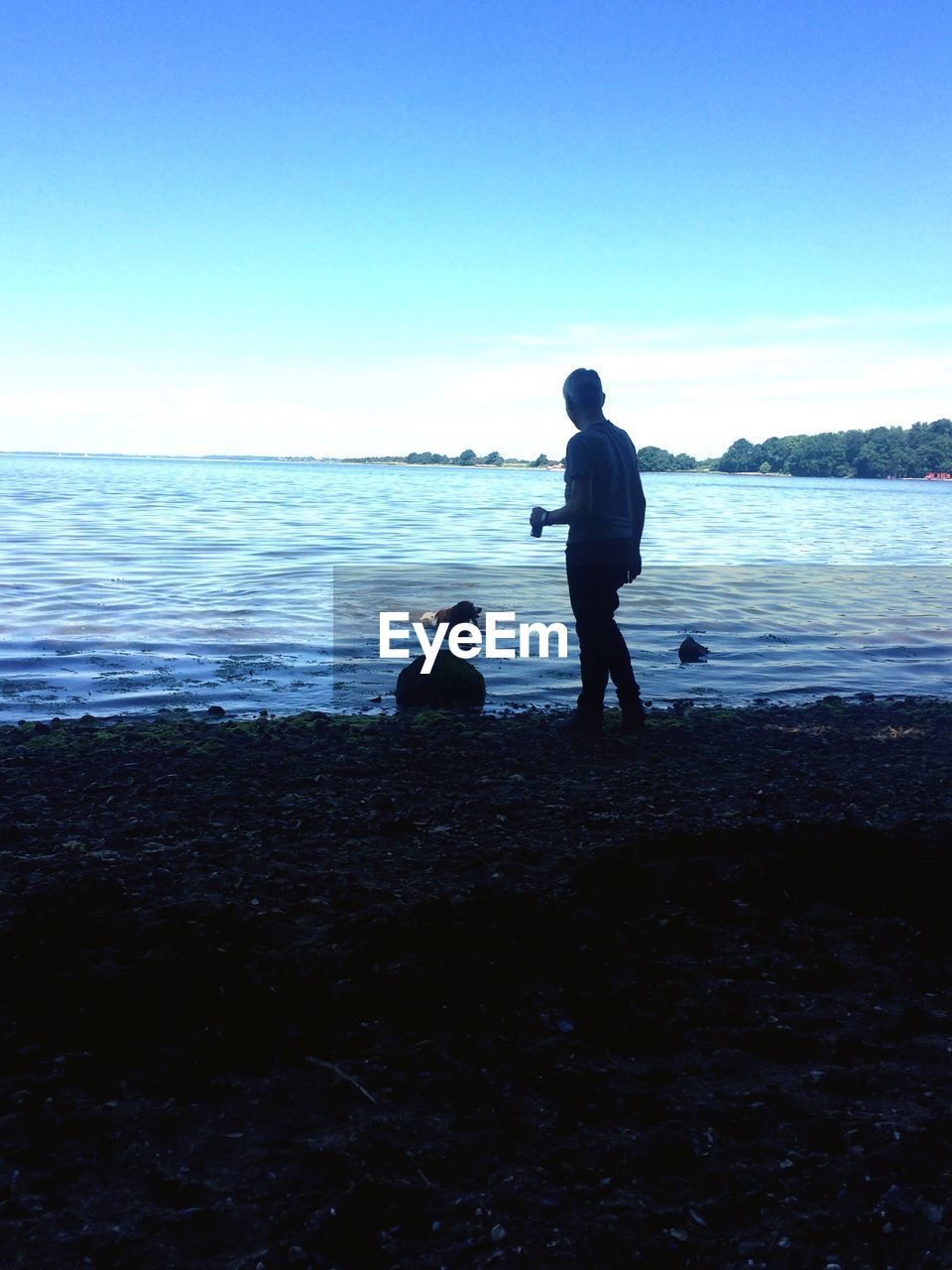 Rear view of man and dog on beach against clear sky