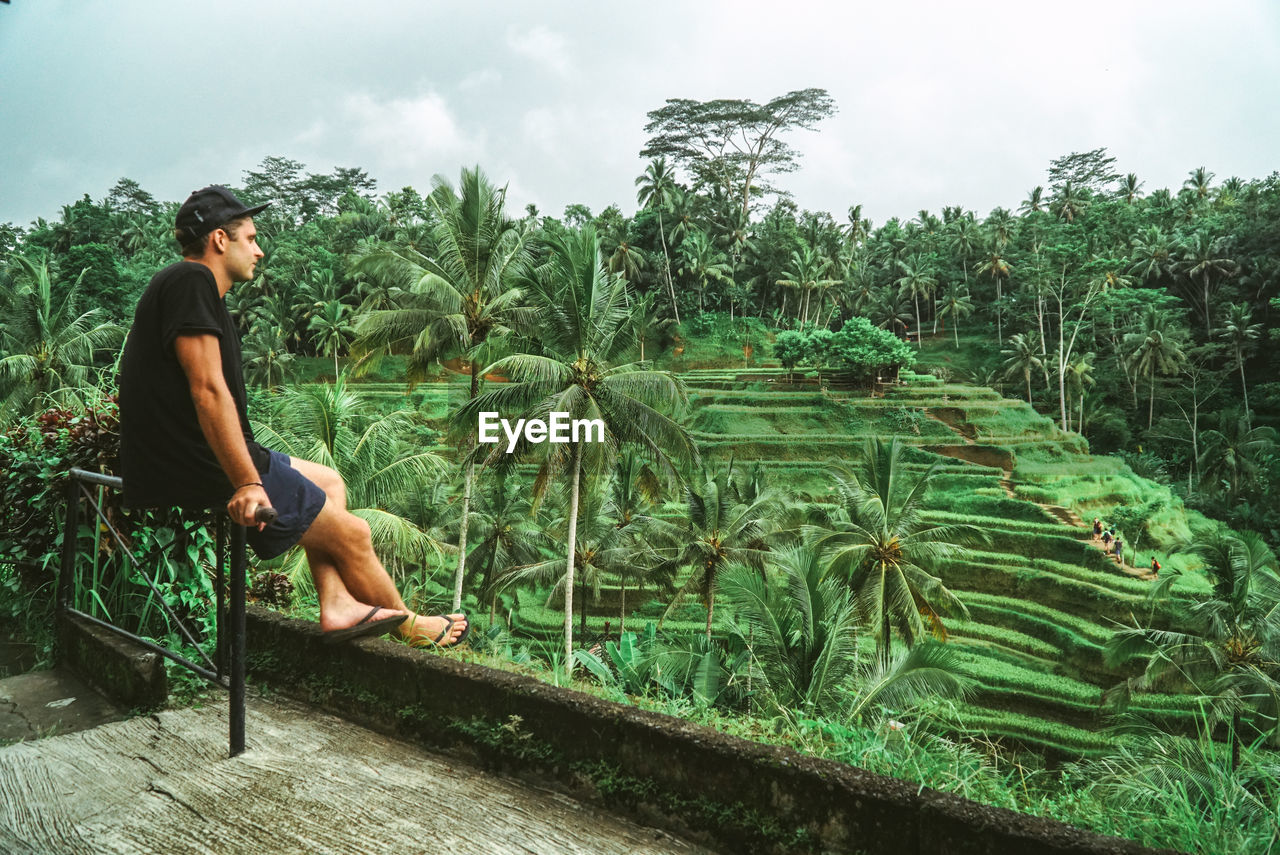 Man sitting against trees