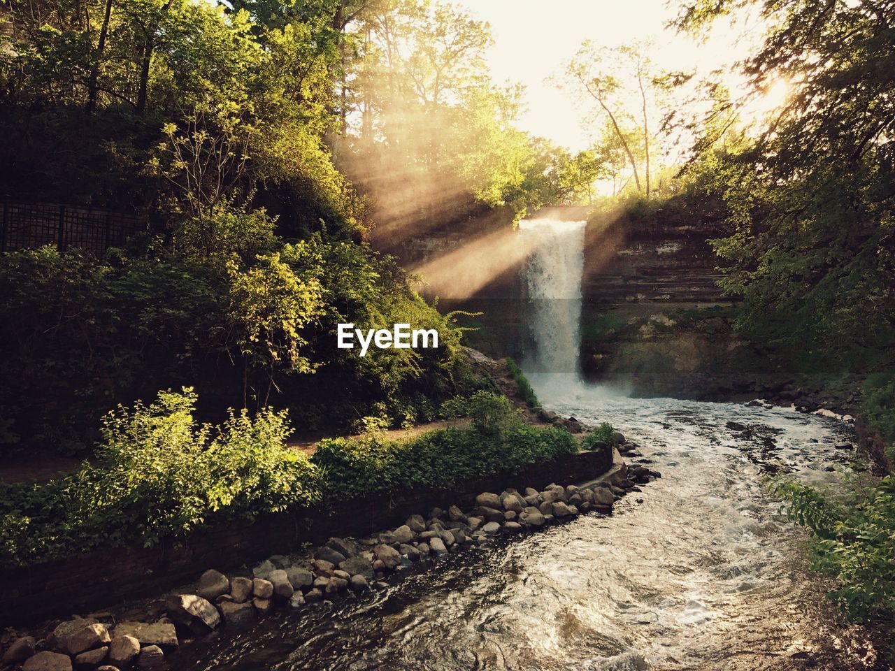 Scenic view of waterfall in forest