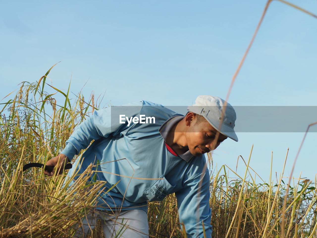 Man working at farm