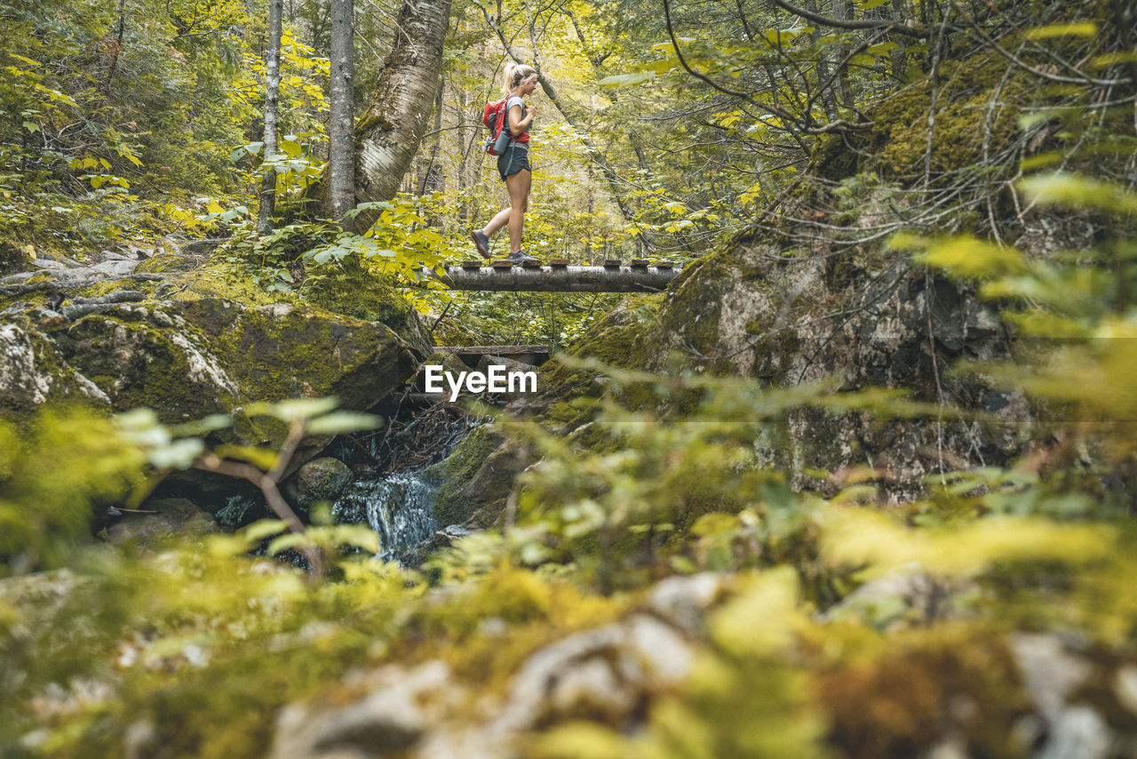 Female hiking bridge crossing in lush quebec forest