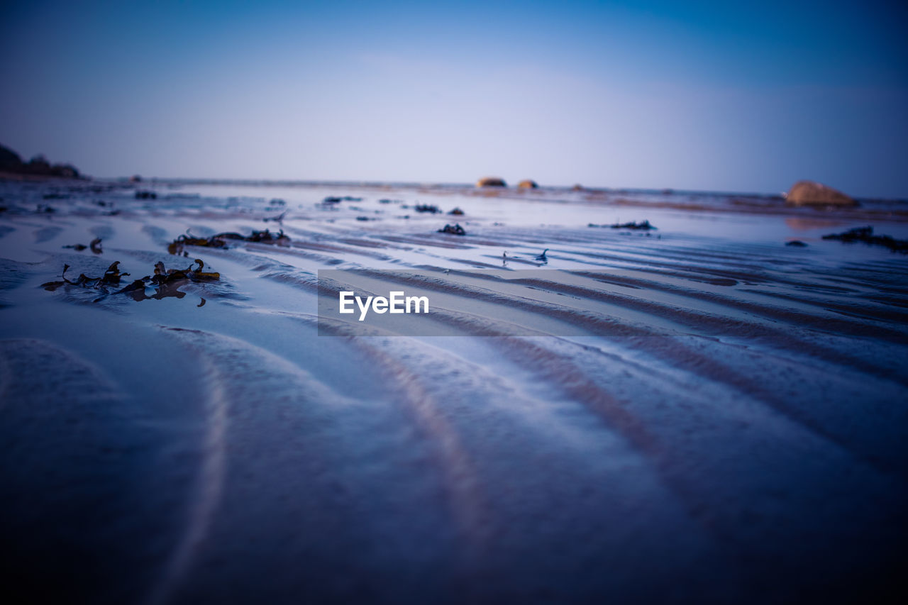 A beautiful seaside landscape of baltic sea. springtime scenery.