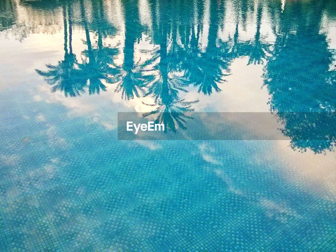 Reflection of palm trees in blue swimming pool