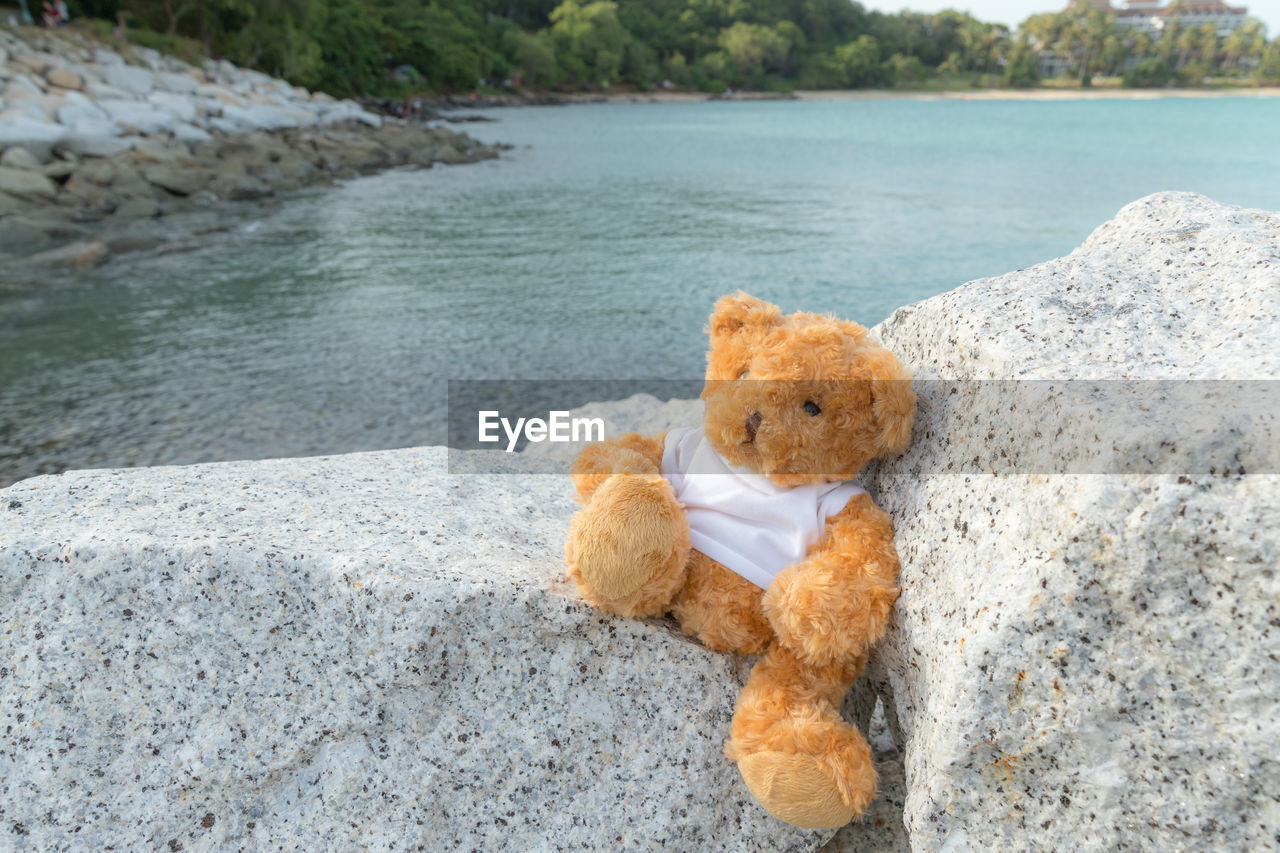 CLOSE-UP OF STUFFED TOY IN ROCK