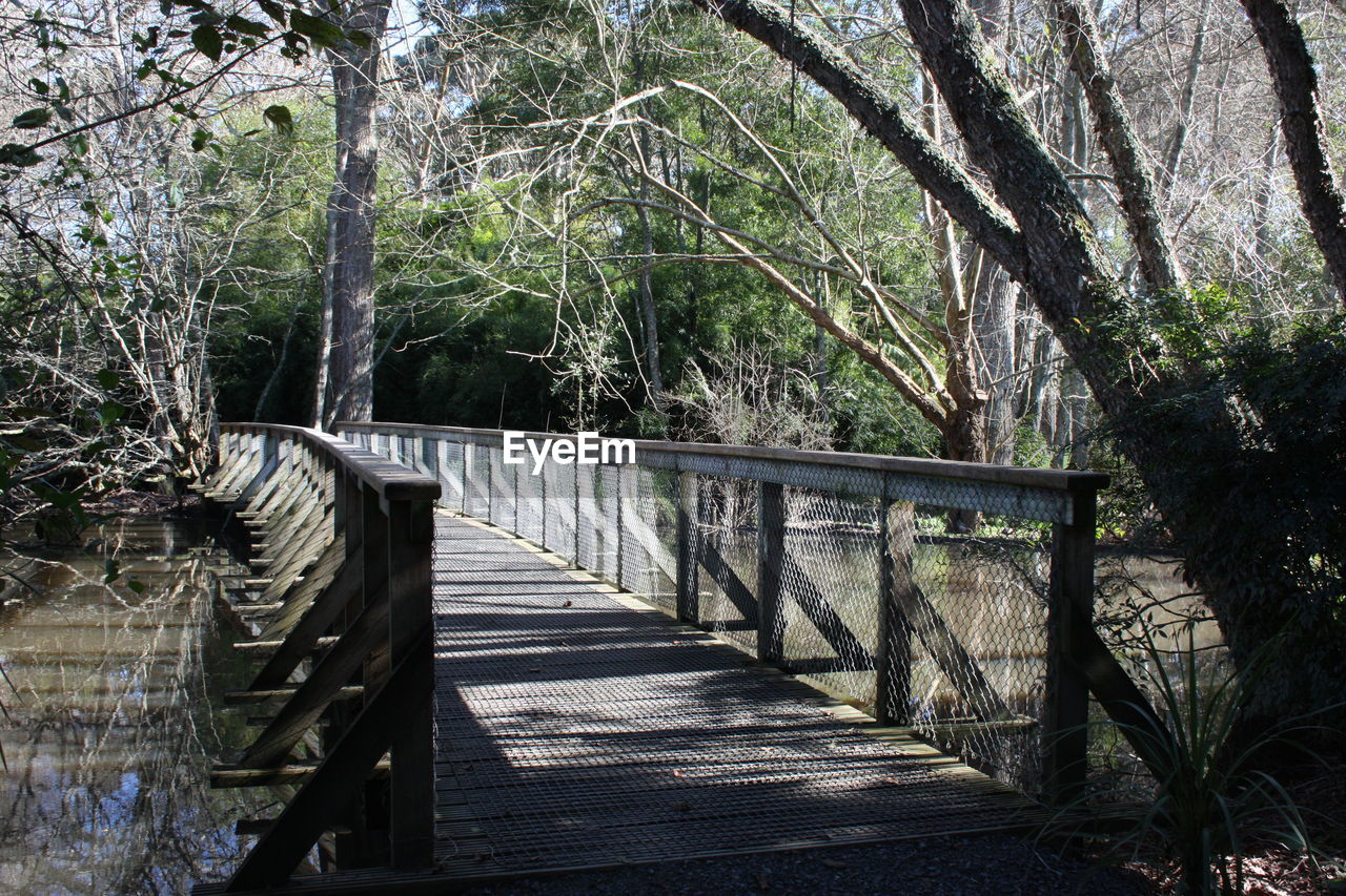 FOOTBRIDGE OVER FOREST