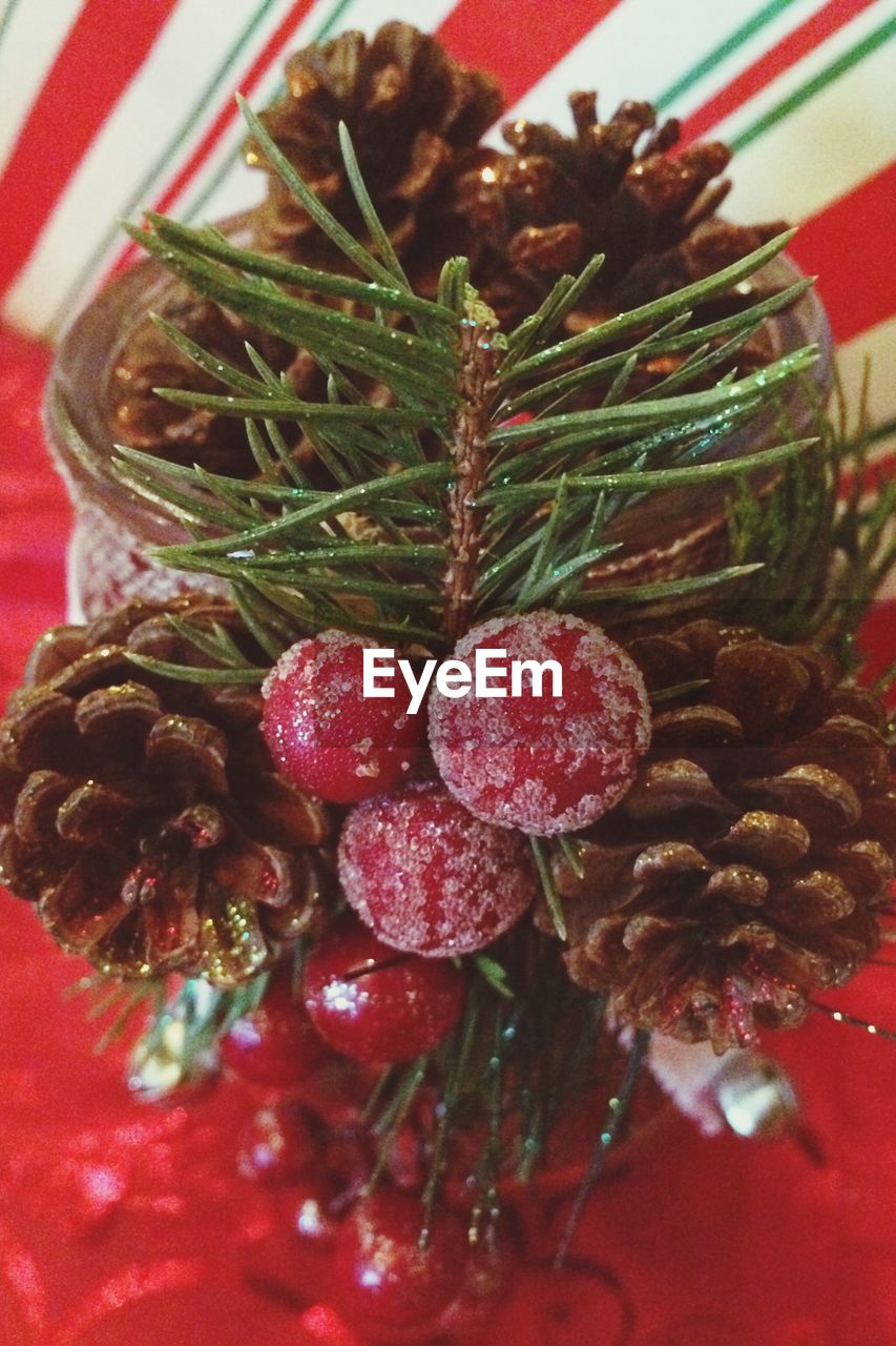 Close-up of pine cones and cherries during christmas