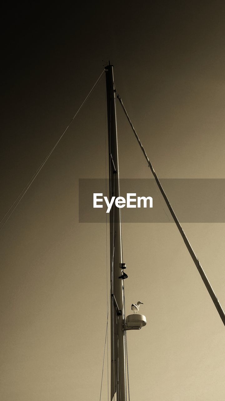 Low angle view of bird perching on mast against sky