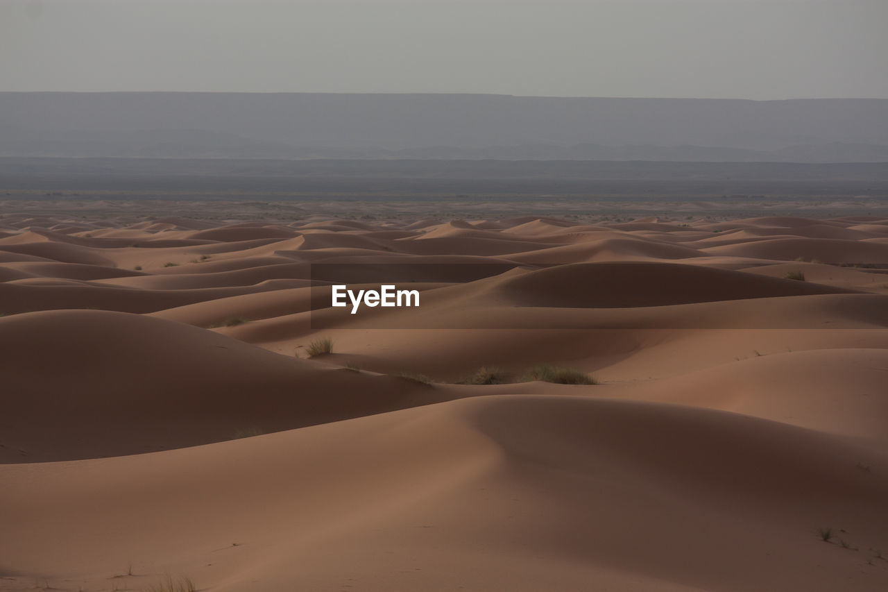 Sand dunes in a desert