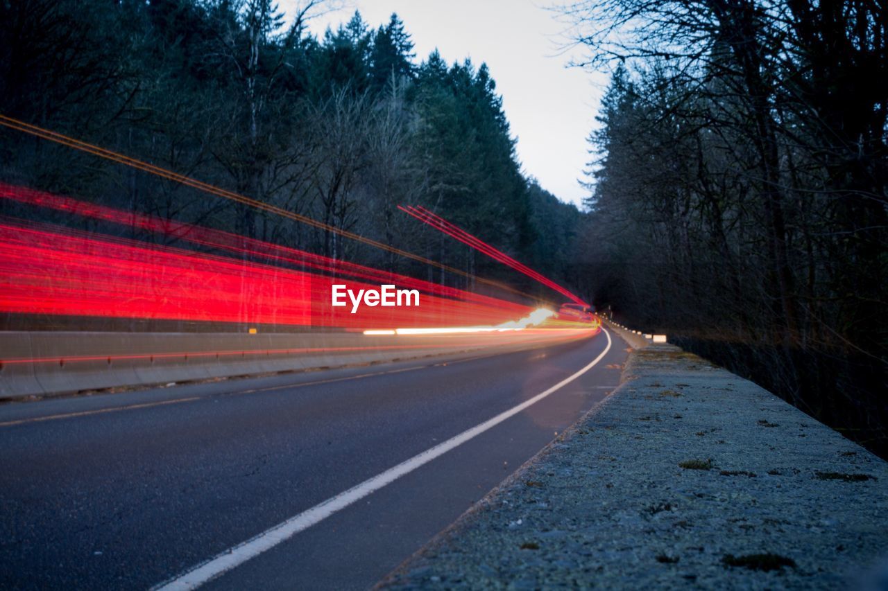 TRAFFIC LIGHT TRAILS ON ROAD AT NIGHT