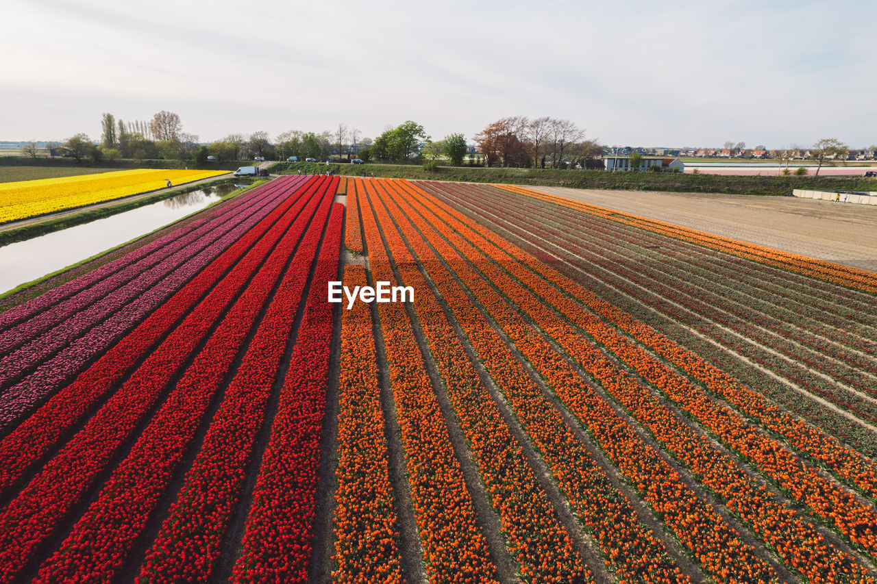 scenic view of agricultural field against cloudy sky