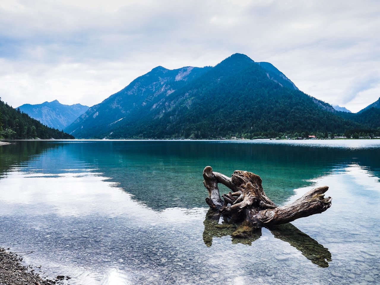 Driftwood on lake by mountain against sky