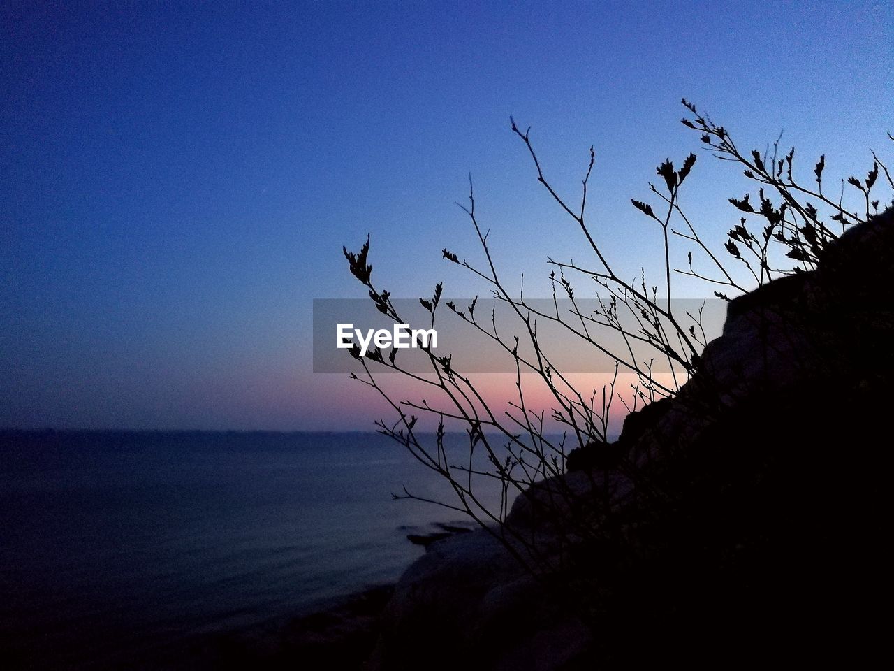 SILHOUETTE OF BIRDS ON SEA AGAINST SKY