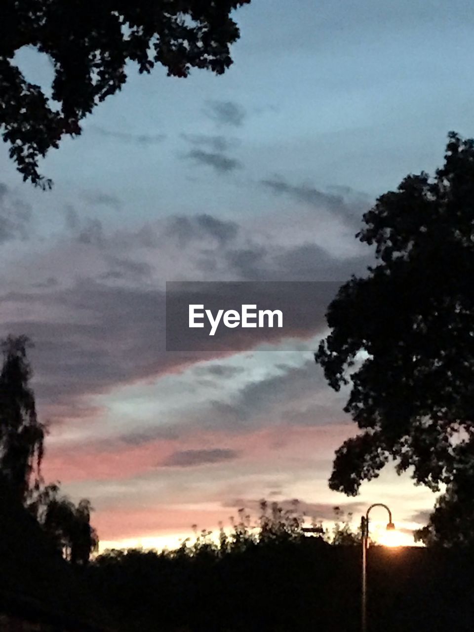 LOW ANGLE VIEW OF SILHOUETTE TREE AGAINST SKY AT SUNSET