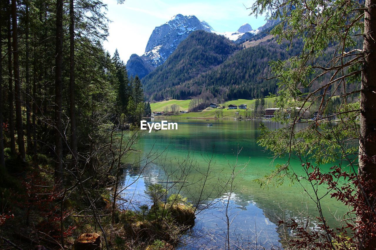 Scenic view of lake by trees against sky