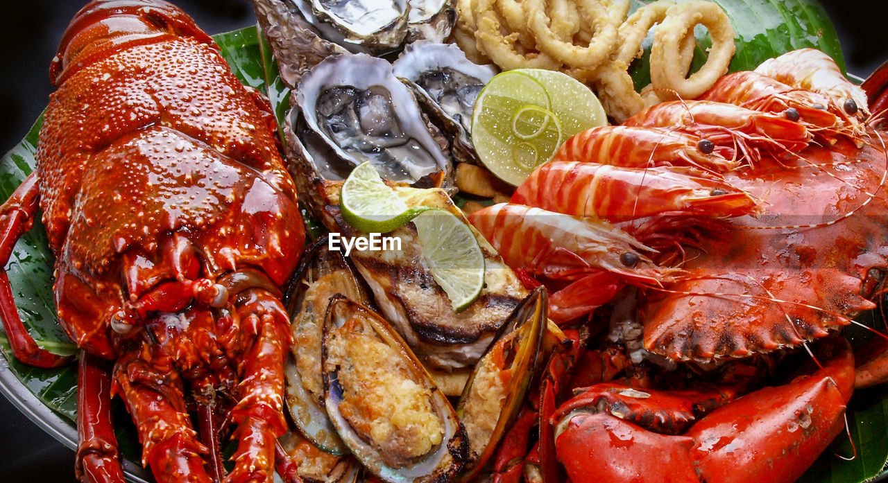 Close-up of seafood in plate