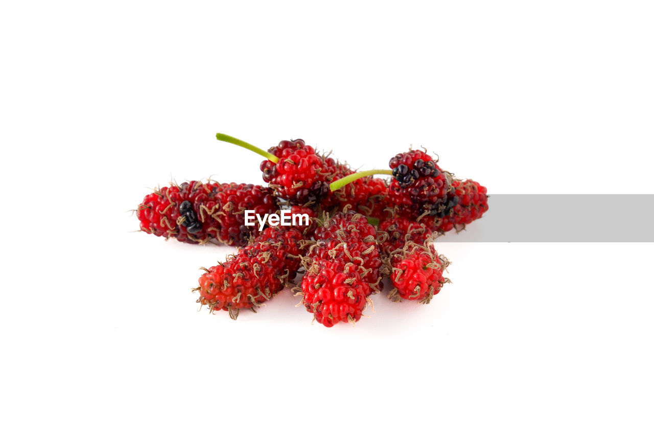 red, food and drink, white background, studio shot, food, plant, produce, cut out, wellbeing, indoors, healthy eating, no people, dried food, flower, fruit, freshness, nature, close-up, berry, medicine, still life, dry, spice, copy space, healthcare and medicine